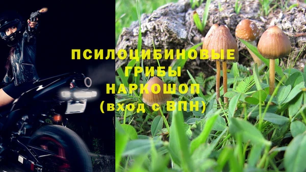 молекула духа Няндома